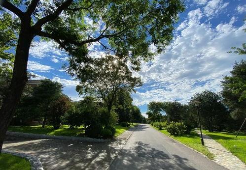 娱乐吃瓜鱼塘,吃瓜鱼塘里的那些事儿